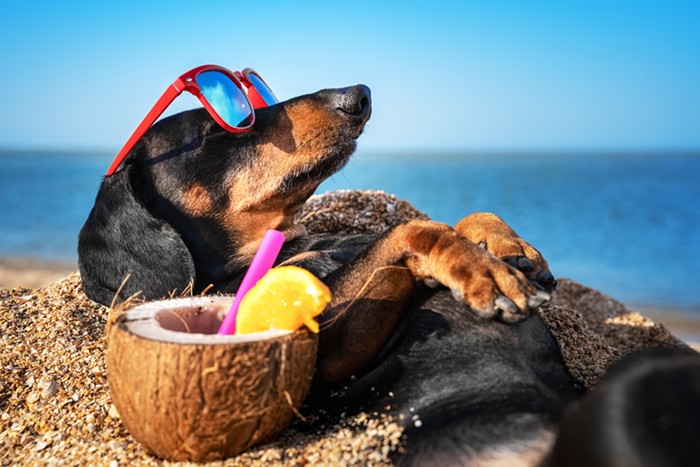Good Morning, News: Homeless Person Successfully Sues Sweep Company, State Lawmakers on Their Bill-Passing Grind, and Happy First Day of Summer! ☀️😎💪👙🌴